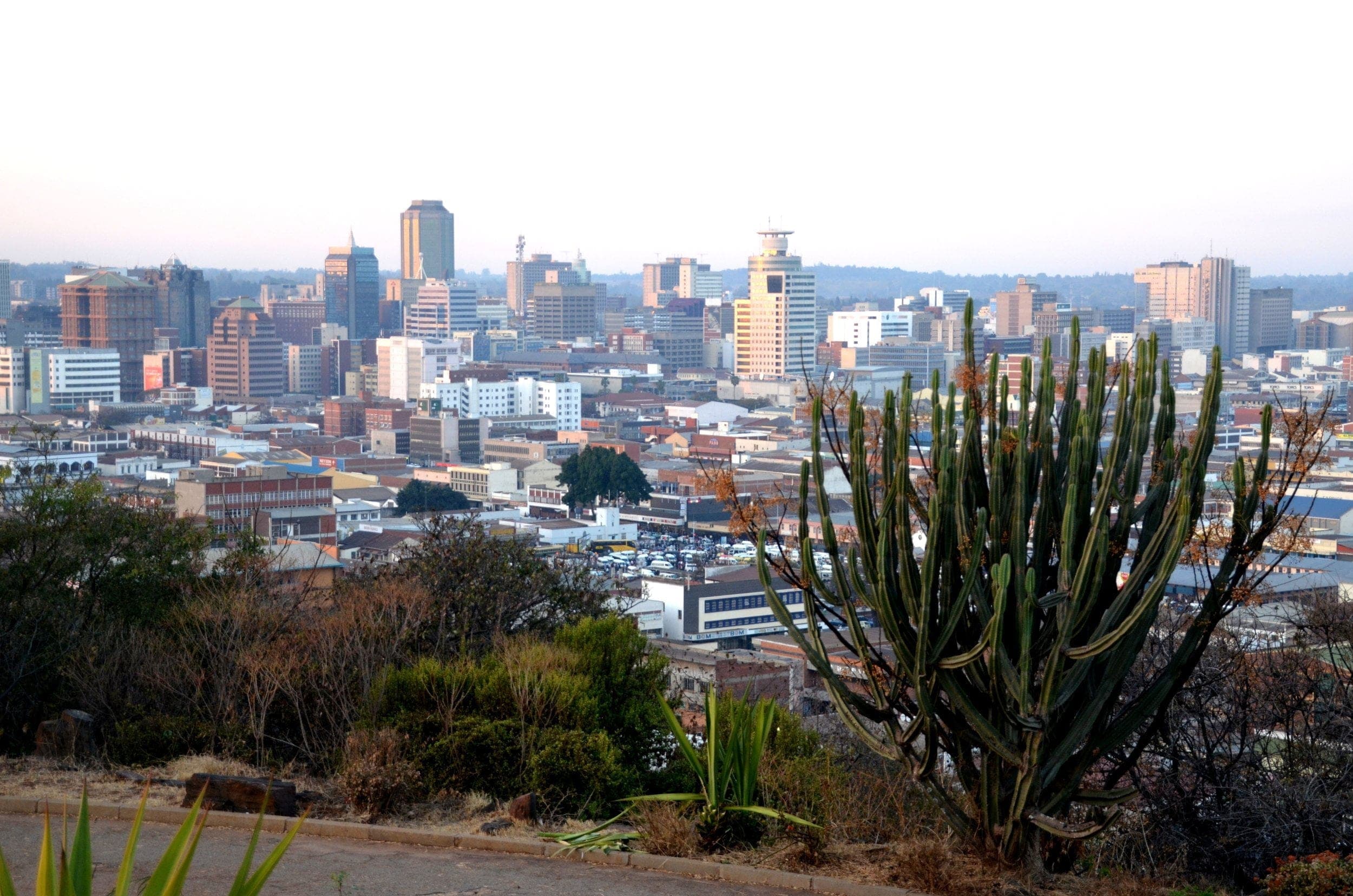 Feasibility Study and Infrastructure Development Support