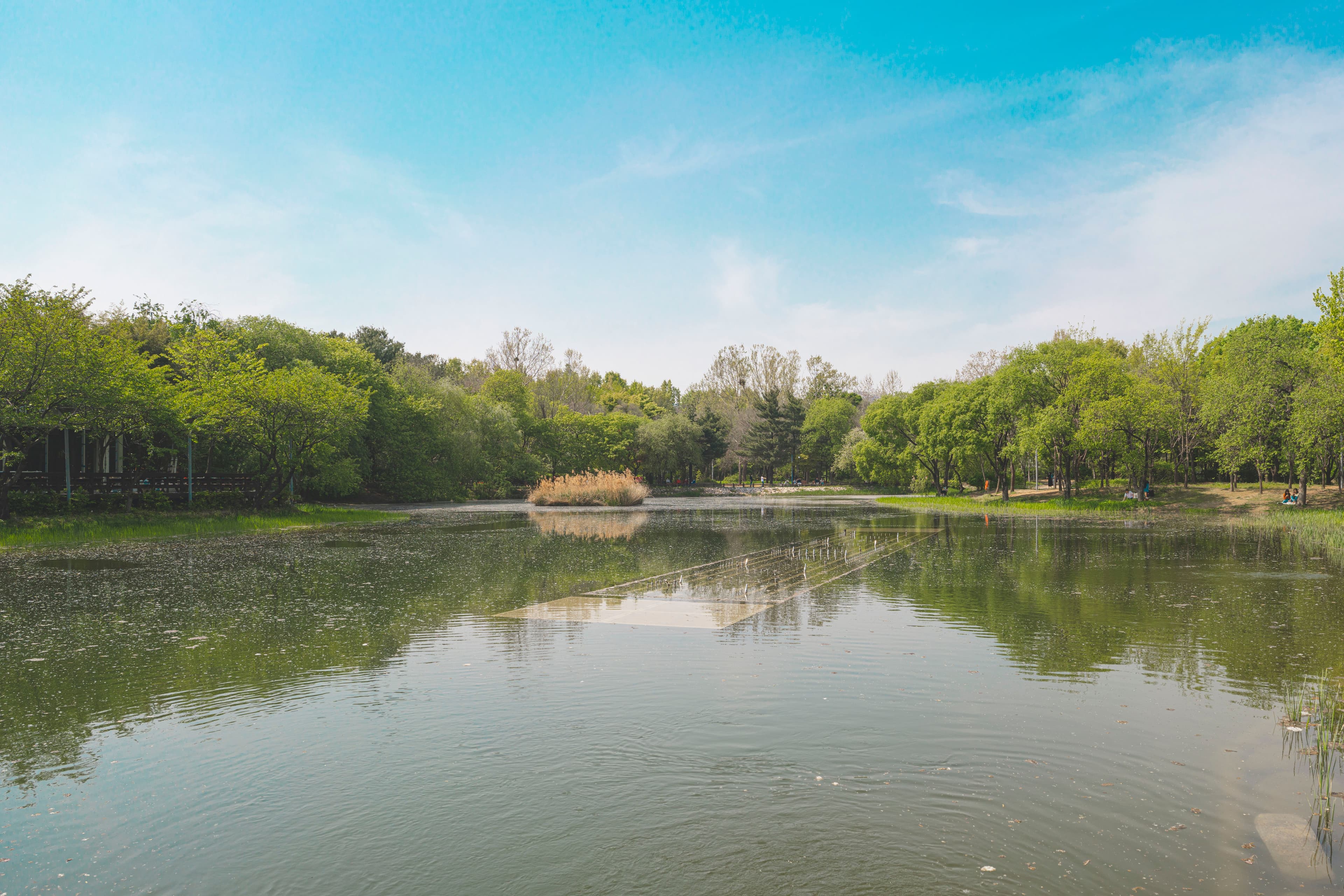 Calm park lake surrounded by trees with a paved walking path along the shore